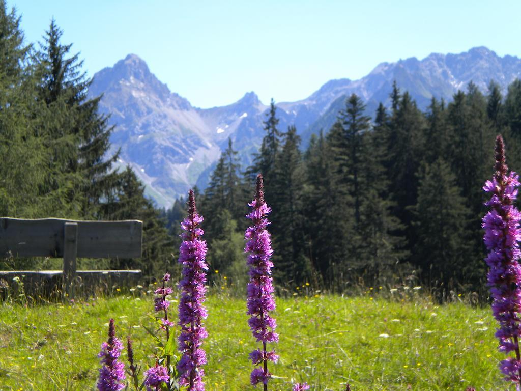 Hotel Garni Brigitte Burserberg Ruang foto