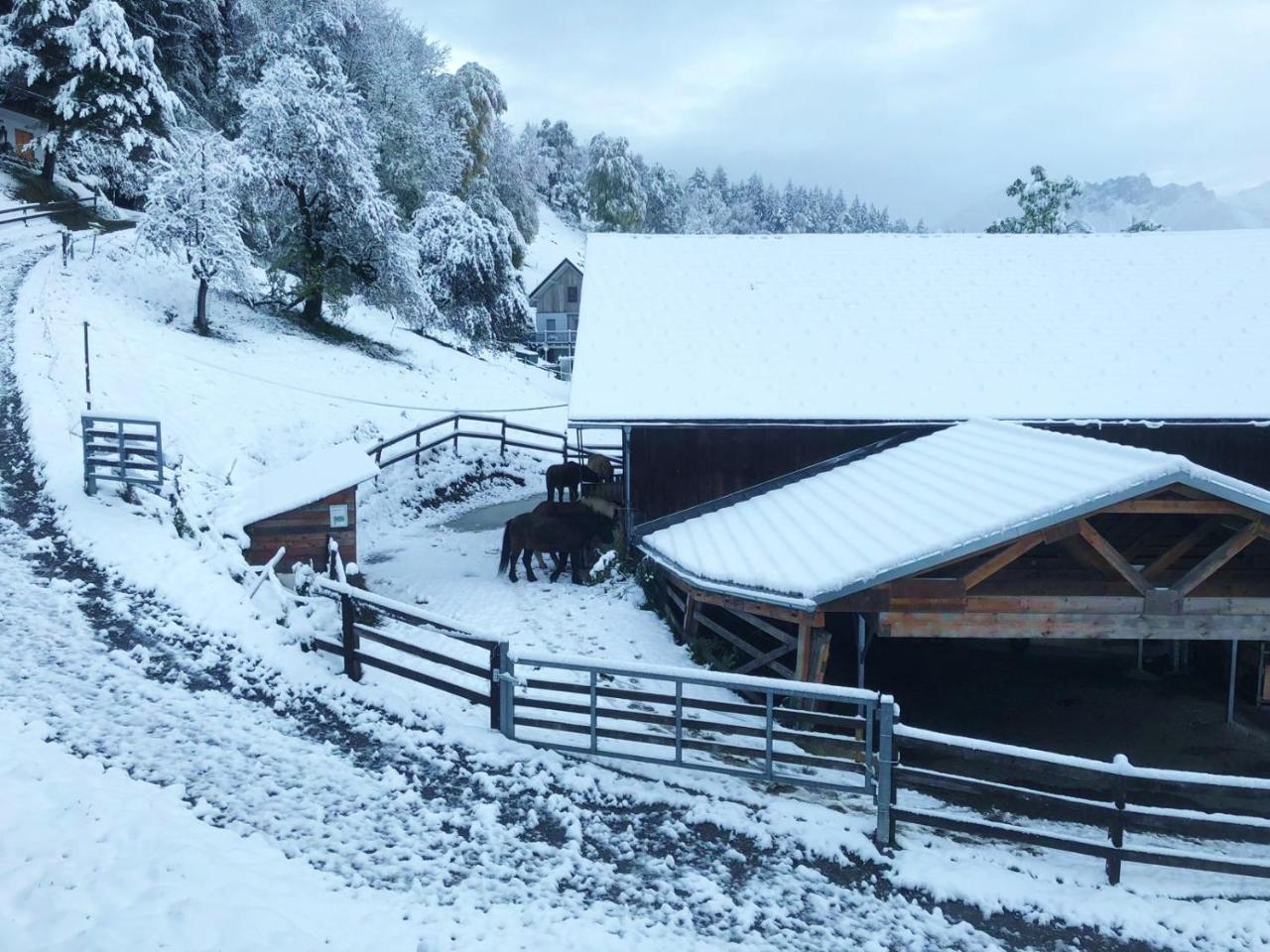 Hotel Garni Brigitte Burserberg Bagian luar foto